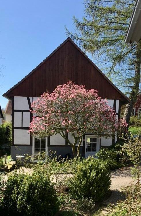 Gemuetliches Ferienhaus Im Extertal/ Lippe Экстерьер фото
