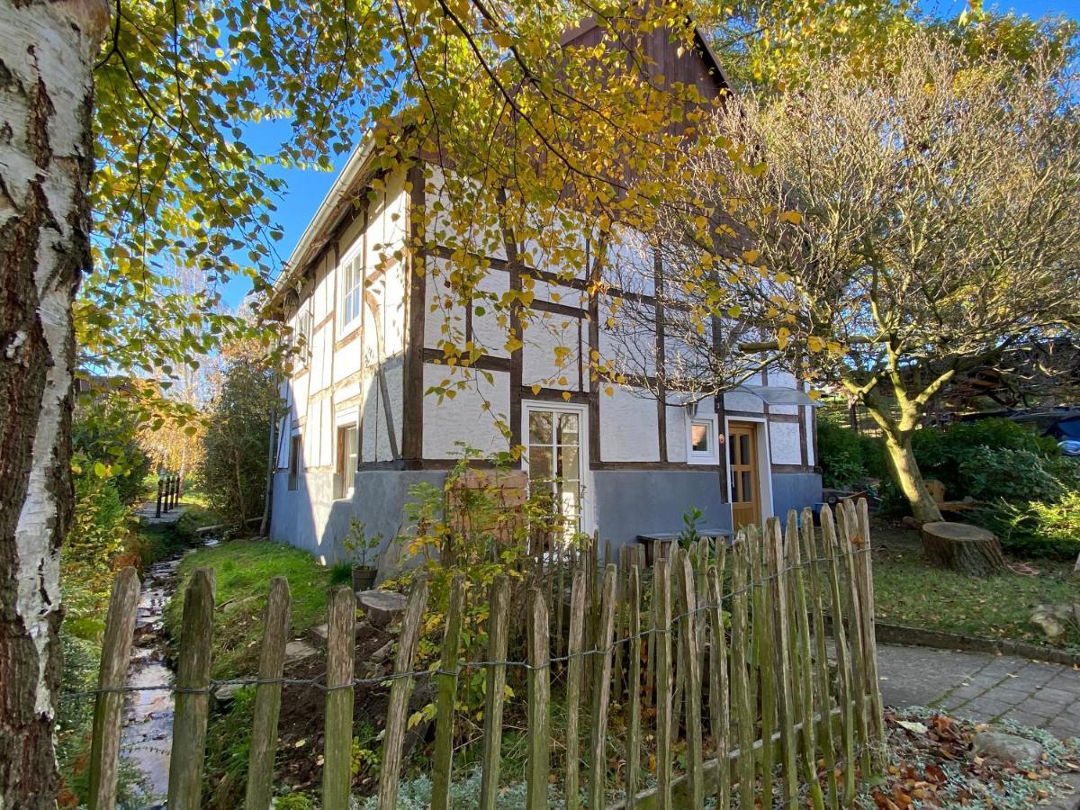 Gemuetliches Ferienhaus Im Extertal/ Lippe Экстерьер фото