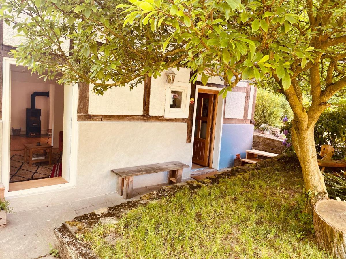Gemuetliches Ferienhaus Im Extertal/ Lippe Экстерьер фото