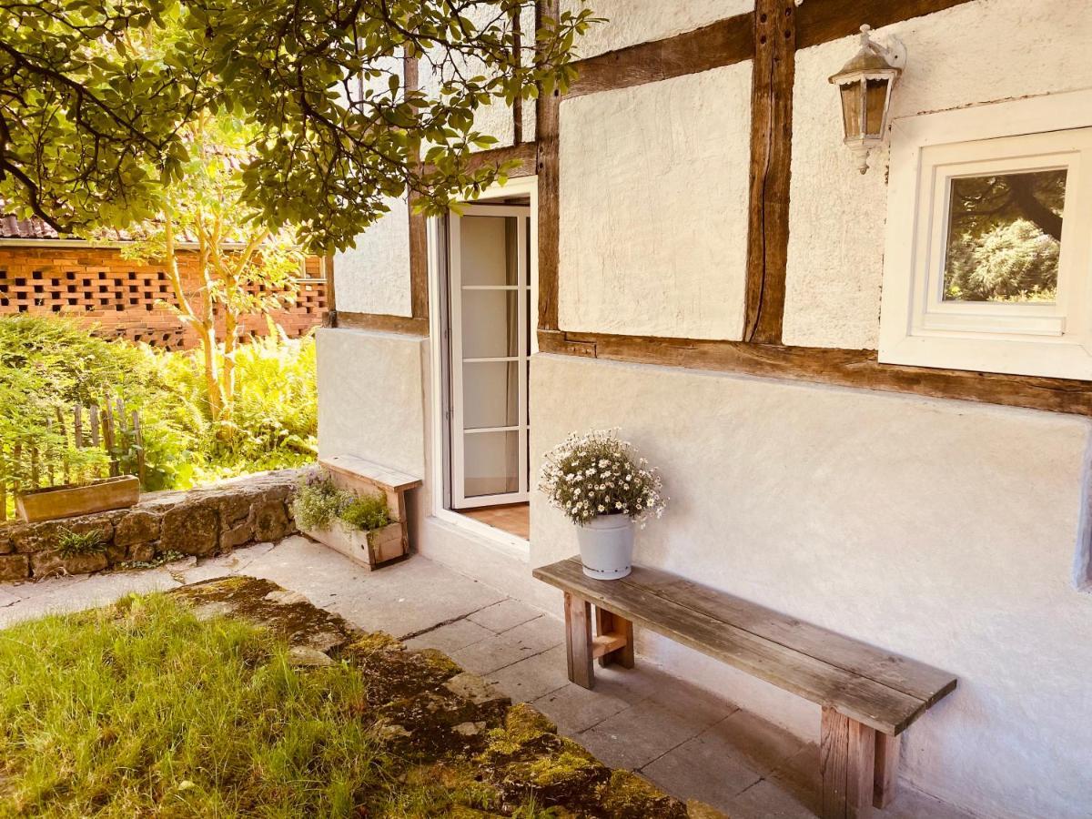 Gemuetliches Ferienhaus Im Extertal/ Lippe Экстерьер фото